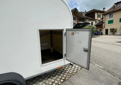 Rimorchio Daltec Cargo 13 - 4/4